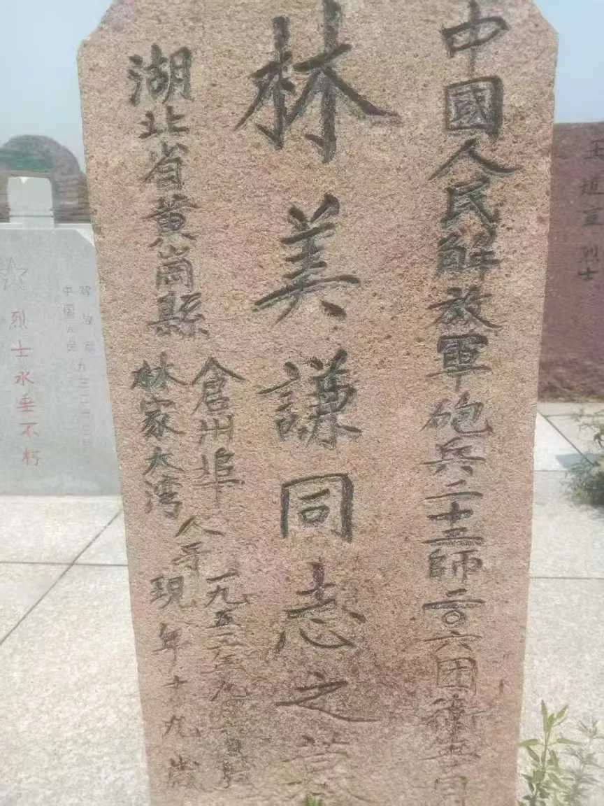 志愿者为抗美援朝时牺牲的烈士林美谦在仓埠林家大湾寻亲成功